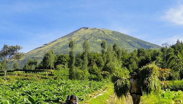 Pengumuman! Jalur Pendakian Gunung Sindoro Ditutup Mulai Tanggal 4 Januari