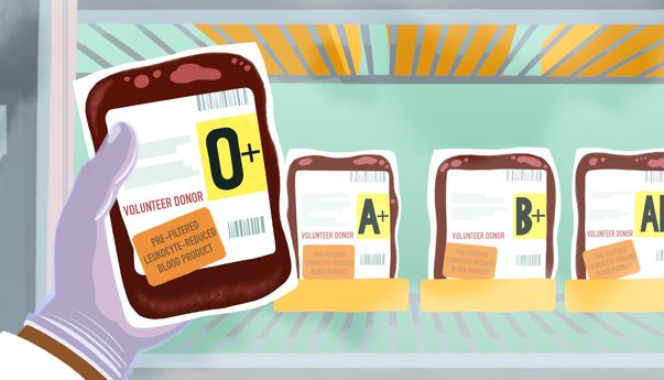 Terbukti, Berikut Pekerjaan yang Cocok untuk Golongan Darah O