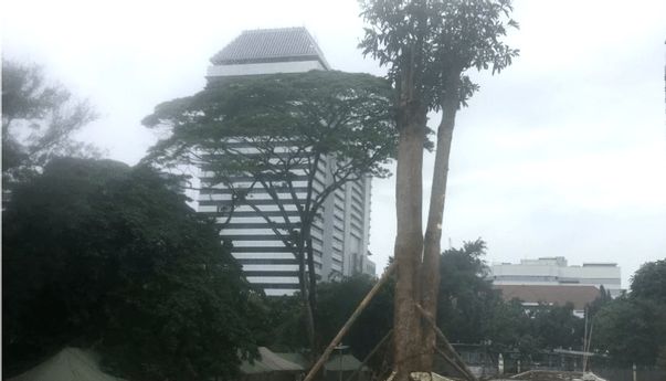 Kemanakah Pohon Mahoni yang Dulu Ada di Monas?
