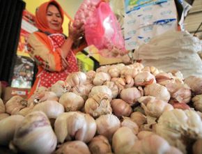 Stok Bawang Putih Langka di Pasaran, Pemprov DKI Kembali Lakukan Impor Bawang Putih