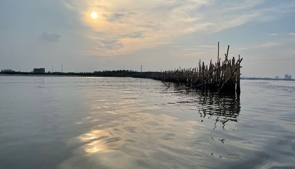 Pemprov DKI Pastikan Pagar Laut 500 Meter di Pulau C Reklamasi Tidak Dilanjutkan