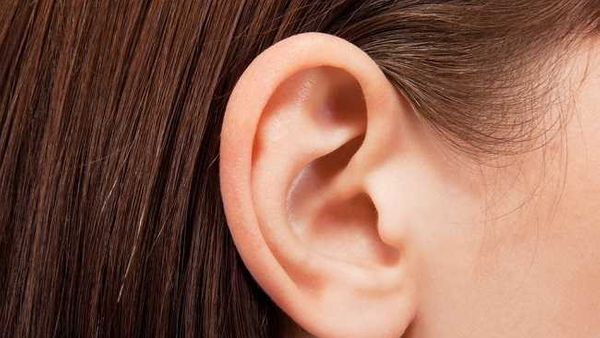 Mengenal Lebih Dalam Bagian Bagian Telinga dan Fungsinya