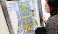 Kulkas Mengeluarkan Bau Tidak Sedap? Tips Mudah Hilangkan Bau Tidak Sedap dari Kulkas