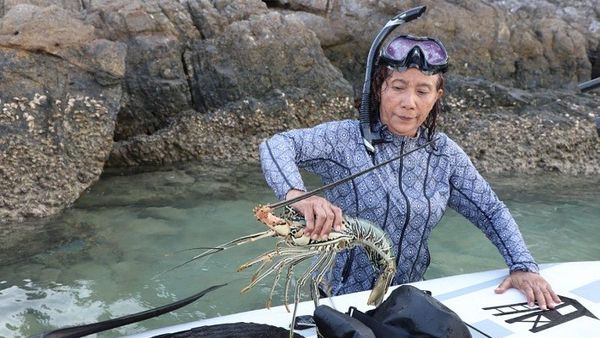 Susi Pudjiastuti Kembali Gagalkan Penyelundupan Lobster dan Sidat Senilai Ratusan Miliar