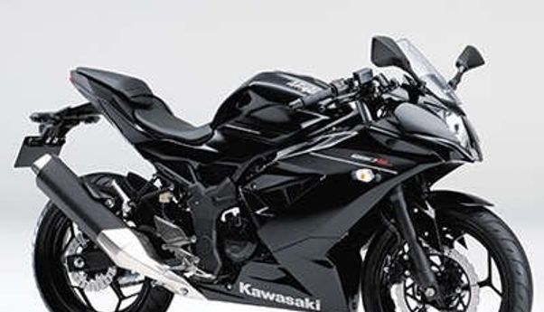 Spesifikasi dan Harga Kawasaki Ninja RR Mono 250