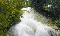 Inilah Kecantikan dan Lokasi Air Terjun Gedad di Gunungkidul