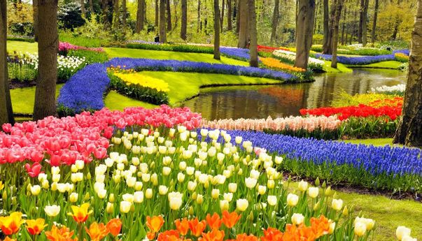 4 Tempat Wisata di Belanda Ini Sangat Terkenal di Dunia