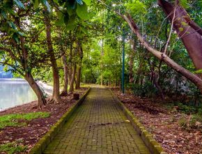 Rekomendasi 3 Taman Kota Jakarta Barat Ini Sangat Cocok Untuk Menghabisakan Akhir Pekan