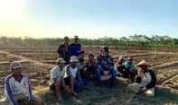 Jadi Crazy Rich, Reiner Raharja Ekspansi Lahan demi Ketahanan Pangan dan Pulihkan Ekonomi Petani