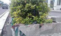 Tak Hanya Guiding Block yang Hilang, Pot Tanaman di Pusat Kota Jogja juga Rusak