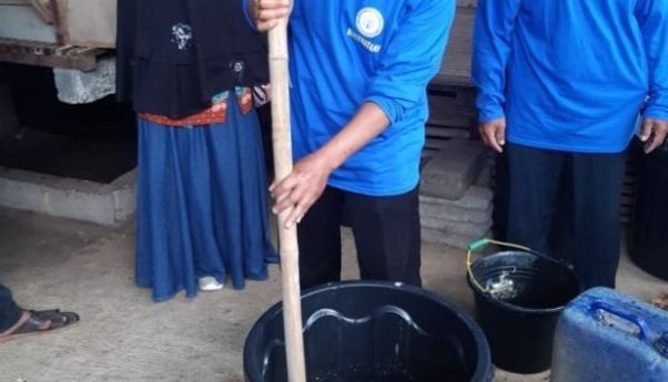 Inspiratif, Petani Magelang Sulap Limbah Urin Domba jadi Pupuk Alami