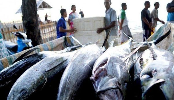 Optimalkan SRG Sektor Perikanan, Indonesia Ekspor Ikan Tuna ke Korea Selatan