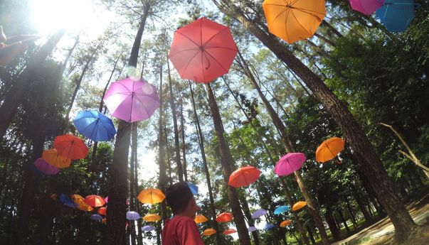 Di Sini Tempat Hunting di Banjarbaru yang Cocok Untuk Latar Foto OOTD