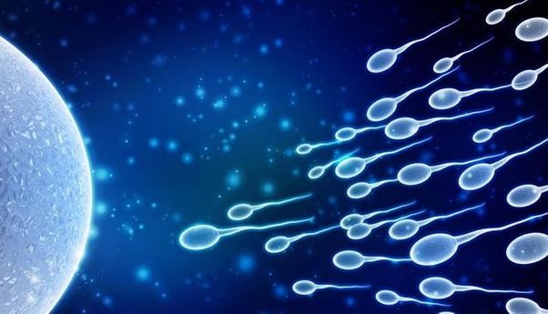 Hindari Beberapa Aktivitas Ini Kalau Tak Ingin Jumlah Sperma Menurun