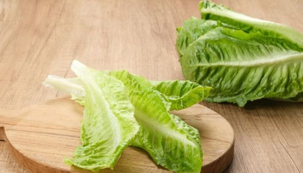 Jangan Biarkan Layu, 5 Tips Menyimpan Selada Agar Tetap Segar