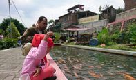 Budidaya Ikan di Selokan ala Kampung Mrican Yogyakarta