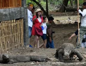 Taman Nasional Komodo NTT Bakal Ditutup Berkala 1 Hari dalam Seminggu