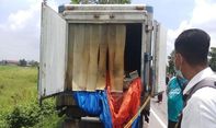Ratusan Bangkai Ayam Ditemukan di Truk Boks Misterius Jogja-Solo, Siapa Pemiliknya?