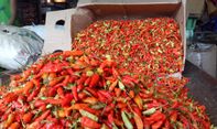Warga Demak Harap Tenang, Harga Cabai dan Daging Ayam Naiknya Masih Wajar