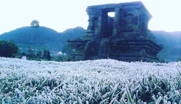 Berita Jateng: Diselimuti Embun Es, Suhu di Dataran Tinggi Dieng di Bawah 0 Derajat Celsius