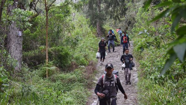 Berita Jateng: Jalur Pendakian Gunung Lawu Dibuka Ini Pesan Bupati Karanganyar