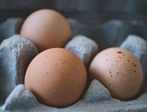 Biar Nggak Nyesel, Kenali Ciri Telur Ayam yang Baik Sebelum Membeli