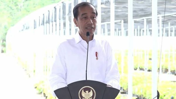 Jokowi Resmikan Persemaian Mentawir di Penajam Paser Utara, Bantu Penghijauan di IKN