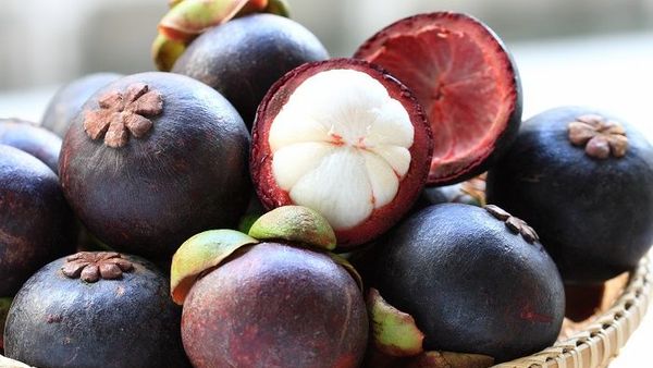 Penting Bagi Ibu Hamil! Ini 4 Manfaat Mengonsumsi Buah Manggis