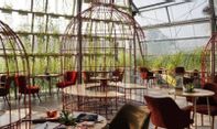 Ingin Hits? Segarkan Feed Instagrammu di Beberapa Wisata Kuliner Jogja Instagramable Berikut Ini