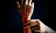 Belajar Biologi! 5 Fungsi Tulang Pergelangan Tangan Manusia