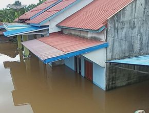 Banjir Sintang Berkepanjangan, Walhi Kalbar Minta Jokowi Tinjau Lokasi