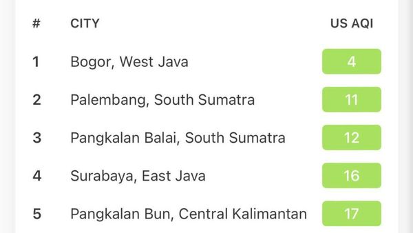 Hari Ini Indeks Kualitas Udara Kota Bogor Peringkat Pertama se-Indonesia, Berada di Level 4 US AQI