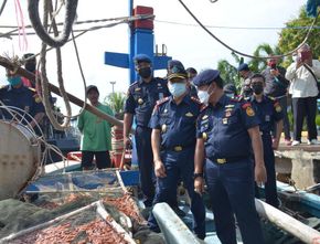 Kapal Asing Tak Cuma Incar Ikan Besar, Mulai Intai Cumi di Perairan Indonesia