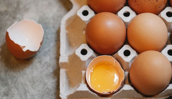 Cara Buat Pupuk dari Cangkang Telur untuk Tanaman Agar Tumbuh Subur