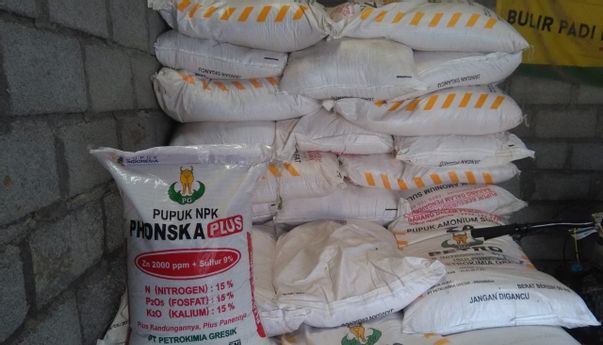 Baru Saja Didistribusikan, Para Petani Sudah Mengeluhkan Kelangkaan Pupuk