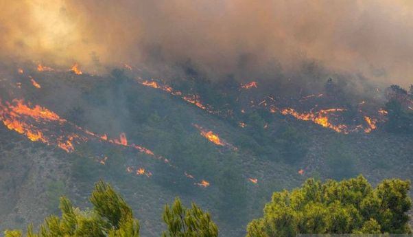 Kemenlu Pastikan Tak Ada Korban WNI Akibat Kebakaran Hutan di Yunani