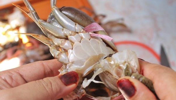 Cara Membersihkan Kepiting yang Mudah dan Tidak Ribet