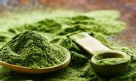 Disebut Lebih Bahaya dari Kokain Tapi Tetap Diekspor ke Amerika Serikat Bahkan Eropa, Inilah Kratom