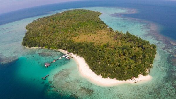 Tak Kalah dari Raja Ampat, Inilah Pesona Pulau Menjangan Kecil di Karimunjawa dan Cara Menuju Lokasi