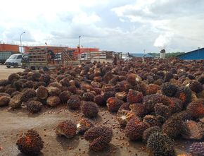 Energi Terbarukan Berbasis Limbah Sawit, Muba dan Kadin Sumsel Ukir Sejarah Baru
