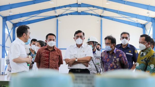 Luhut: Jangan Sampai Ada Rakyat Enggak Bisa Makan, Cek dan Bantu