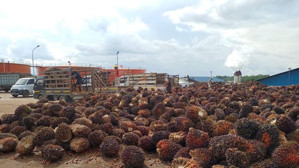 Energi Terbarukan Berbasis Limbah Sawit, Muba dan Kadin Sumsel Ukir Sejarah Baru