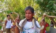 Mengaku Kebal dengan Bisa Ular, Pria Ini Malah Tewas Setelah Lidahnya Digigit Kobra