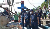 Kapal Asing Tak Cuma Incar Ikan Besar, Mulai Intai Cumi di Perairan Indonesia