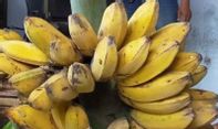 Berita Seputar Jogja: Mantan Anggota DPRD Gunungkidul Kepergok Curi Pisang di Pasar