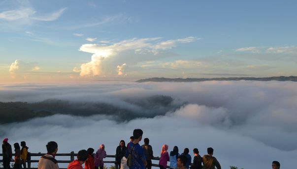 Wisata Kebun Buah Mangunan Yogyakarta Wisata Kebun Buah Mangunan Yogyakarta