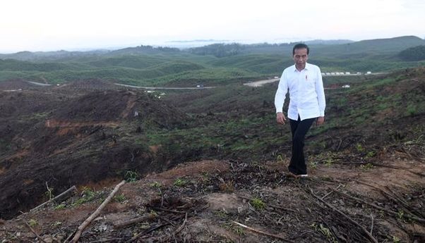 Jokowi Benarkan Ada Bagi-Bagi Proyek Dipembangunan Ibu Kota Baru