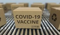 Kabar Baik 50 Juta Dosis Vaksin COVID-19 Merek Pfizer Bakal Tiba di Indonesia Agustus Mendatang