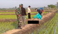 Berita Jateng: Petani asal Sragen Meninggal Tersengat Jebakan Tikus Buatan Menantu