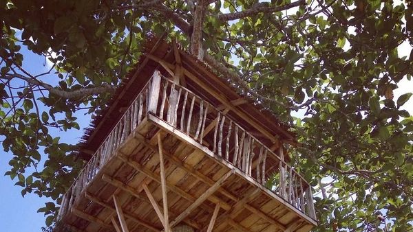 Rumah Pohon Laing Park, Destinasi Wisata Solok Penuh Kesegaran